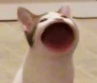 ElDKBsGXIAEIajg.jpg