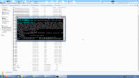 555.webm