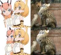 8vkIvHNEHpg.jpg