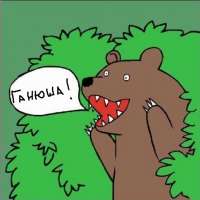 medved--shlyuha1496480034.jpeg