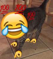 16136902560180.png