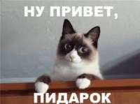 15914666718220.png