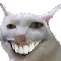 16146744590600.jpg