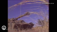G6 Rhino [SADF]HD.mp4