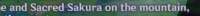1525210564942.png