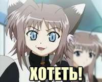 123142335345.jpeg