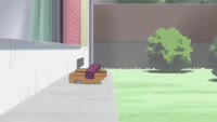14694463281230.webm