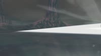 козий.webm