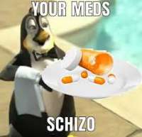 yourmedsshizo.jpg