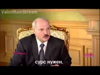 1618764207652.webm