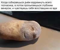 изображение.png