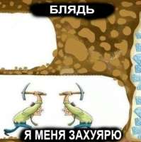 376.jpg