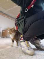 IMG20210430145333639.jpg