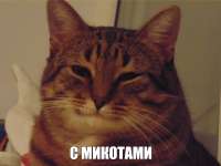 изображение.png
