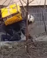 16196113162981.mp4