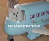 16090034857942.jpg