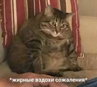 regret.jpg
