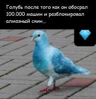 161969209918143151.png