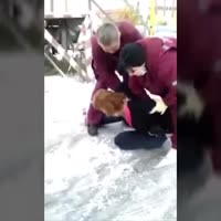 16198924414610.mp4