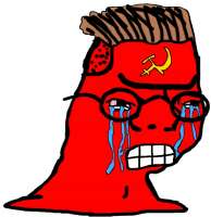 commiezoomer.jpg