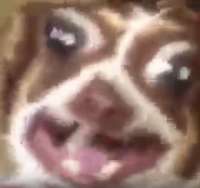 16157433519060.png