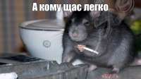 903305e77a2d607acc4361d822c541f5.jpg