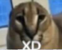 16202940382172.jpg
