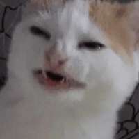 1621077687214.png
