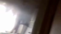 12443635757.mp4