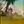 .webm