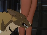 .webm