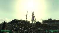 ScreenShot52.jpg