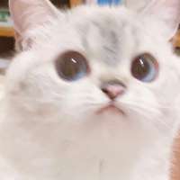 16096569977841.jpg