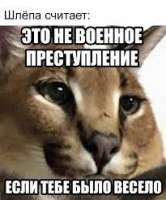 Без названия.jpg