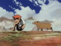 .webm