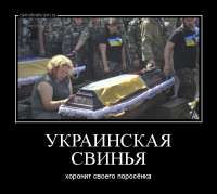 lGf85fBmINc.jpg
