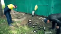 15331632336221.webm