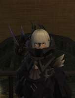 ffxiv29052021163642916.png