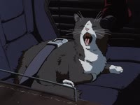 14747858959.webm