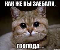 pidrila-ebanaya13806895orig.jpeg
