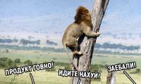 straxi-krupnyix-brendov-chto-ix-obosrut-v-internete.jpg