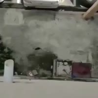 16195165458950.webm