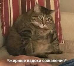 regret.jpg