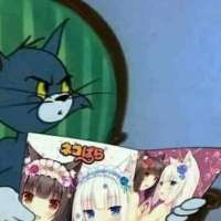 Bp9zV6Rq.jpg