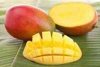 mango.jpg