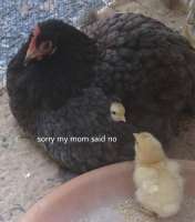 5ZQRM6bJiHY.jpg