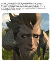 изображение.png