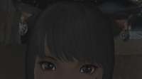 ffxiv2021-06-1716-55-22.png