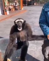 1584744838347.webm