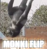 1570447175134.mp4